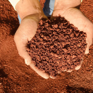 Cinder Soil